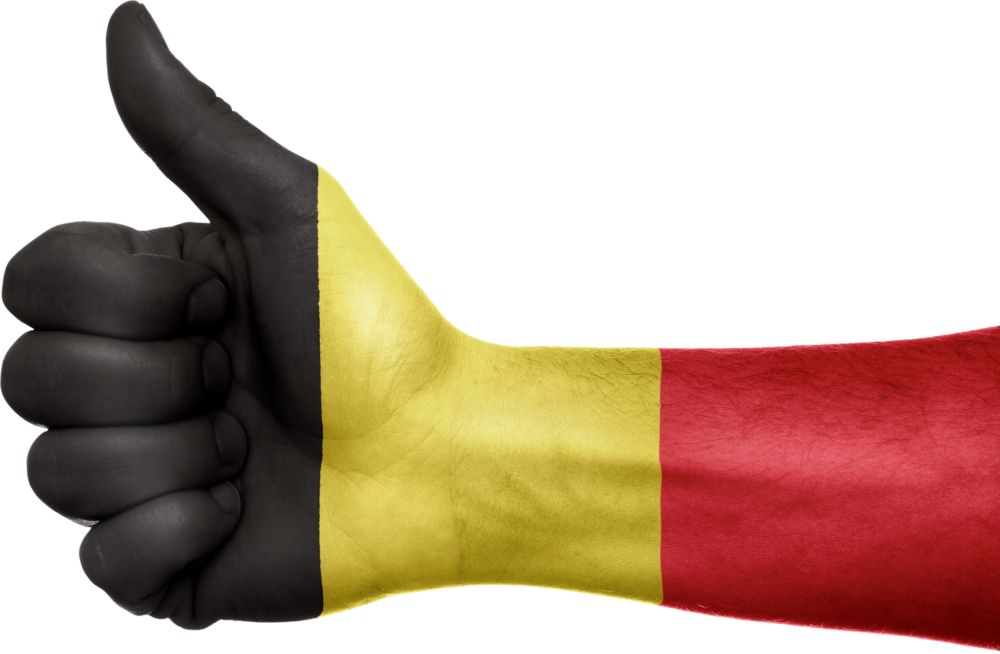Основная информация о стране:   Бельгия - небольшая страна в Западной Европе, насчитывающая чуть более 11 миллионов человек